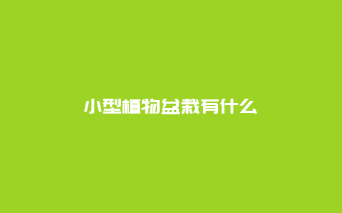 小型植物盆栽有什么