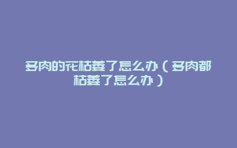 多肉的花枯萎了怎么办（多肉都枯萎了怎么办）