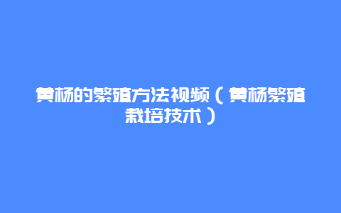 黄杨的繁殖方法视频（黄杨繁殖栽培技术）