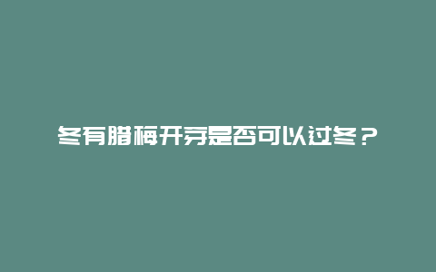 冬有腊梅开芽是否可以过冬？