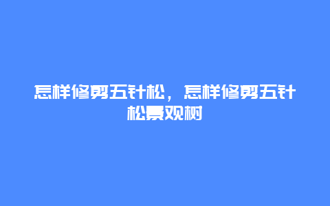 怎样修剪五针松，怎样修剪五针松景观树