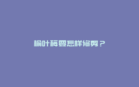 榆叶梅要怎样修剪？