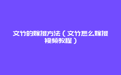 文竹的嫁接方法（文竹怎么嫁接视频教程）