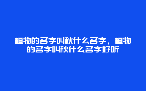 植物的名字叫秋什么名字，植物的名字叫秋什么名字好听