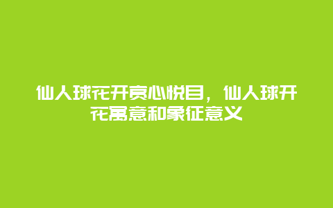 仙人球花开赏心悦目，仙人球开花寓意和象征意义