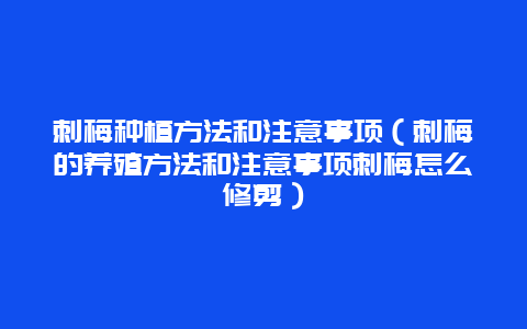 刺梅种植方法和注意事项（刺梅的养殖方法和注意事项刺梅怎么修剪）