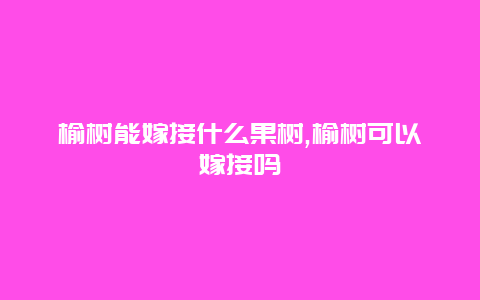 榆树能嫁接什么果树,榆树可以嫁接吗