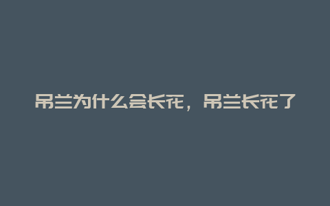 吊兰为什么会长花，吊兰长花了