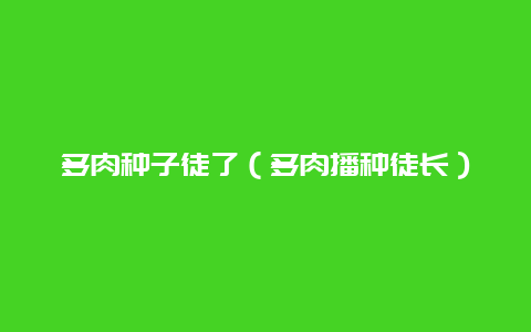 多肉种子徒了（多肉播种徒长）