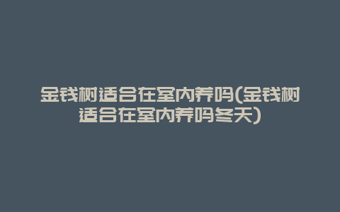 金钱树适合在室内养吗(金钱树适合在室内养吗冬天)