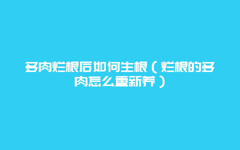 多肉烂根后如何生根（烂根的多肉怎么重新养）