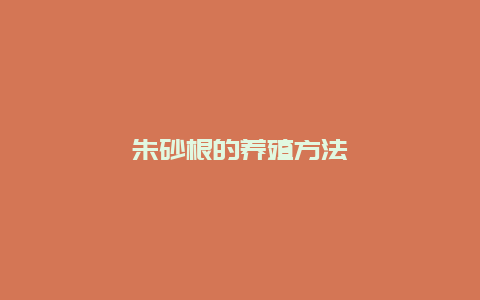 朱砂根的养殖方法