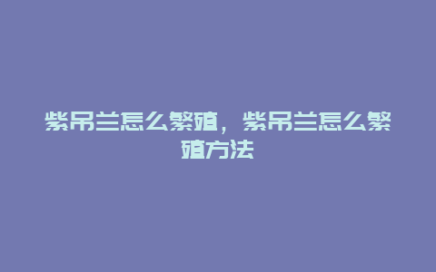 紫吊兰怎么繁殖，紫吊兰怎么繁殖方法