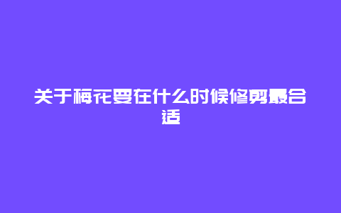 关于梅花要在什么时候修剪最合适