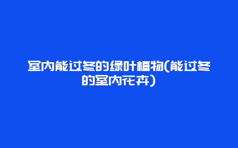 室内能过冬的绿叶植物(能过冬的室内花卉)