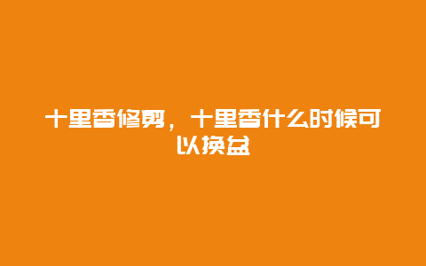 十里香修剪，十里香什么时候可以换盆