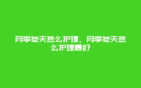 月季冬天怎么护理，月季冬天怎么护理最好