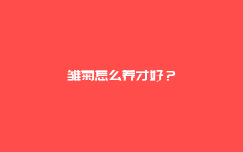 雏菊怎么养才好？