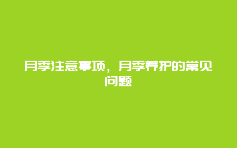 月季注意事项，月季养护的常见问题