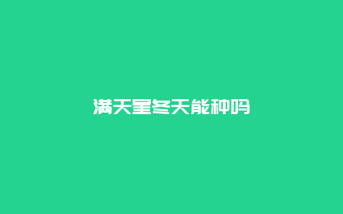 满天星冬天能种吗