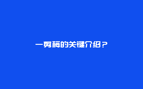 一剪梅的关键介绍？