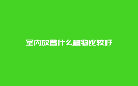 室内放置什么植物比较好