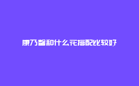 康乃馨和什么花搭配比较好