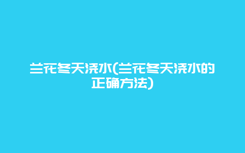 兰花冬天浇水(兰花冬天浇水的正确方法)