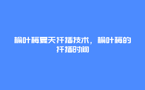 榆叶梅夏天扦插技术，榆叶梅的扦插时间