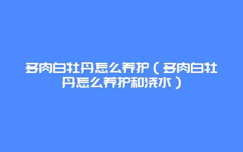 多肉白牡丹怎么养护（多肉白牡丹怎么养护和浇水）