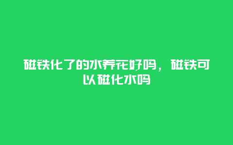 磁铁化了的水养花好吗，磁铁可以磁化水吗