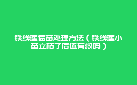 铁线莲僵苗处理方法（铁线莲小苗立枯了后还有救吗）