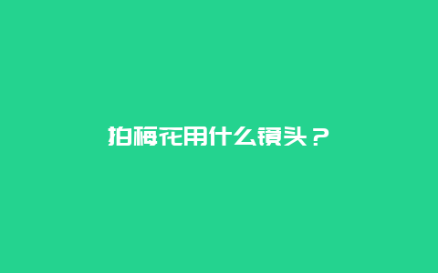 拍梅花用什么镜头？