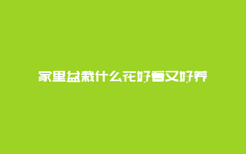 家里盆栽什么花好看又好养