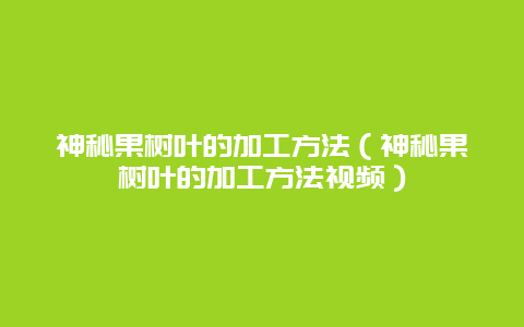 神秘果树叶的加工方法（神秘果树叶的加工方法视频）