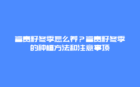 富贵籽冬季怎么养？富贵籽冬季的种植方法和注意事项