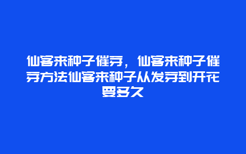 仙客来种子催芽，仙客来种子催芽方法仙客来种子从发芽到开花要多久