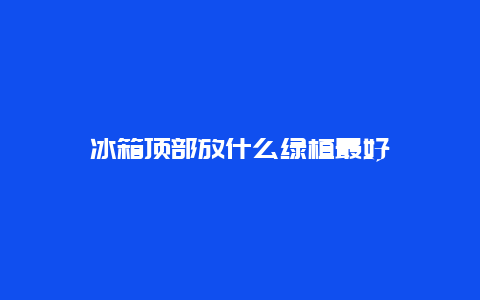 冰箱顶部放什么绿植最好