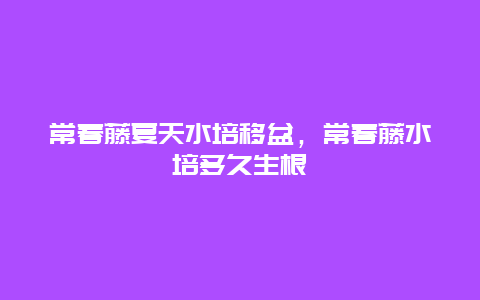 常春藤夏天水培移盆，常春藤水培多久生根