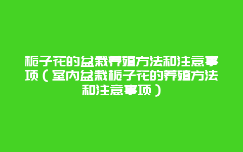 栀子花的盆栽养殖方法和注意事项（室内盆栽栀子花的养殖方法和注意事项）