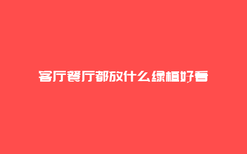 客厅餐厅都放什么绿植好看