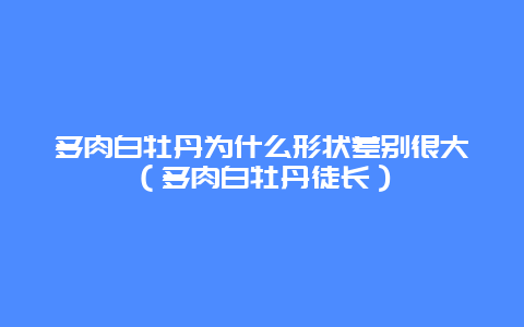 多肉白牡丹为什么形状差别很大（多肉白牡丹徒长）