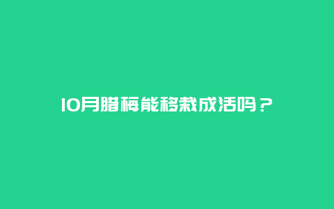 10月腊梅能移栽成活吗？