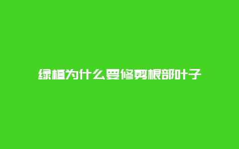 绿植为什么要修剪根部叶子