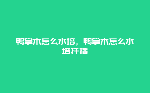 鸭掌木怎么水培，鸭掌木怎么水培扦插