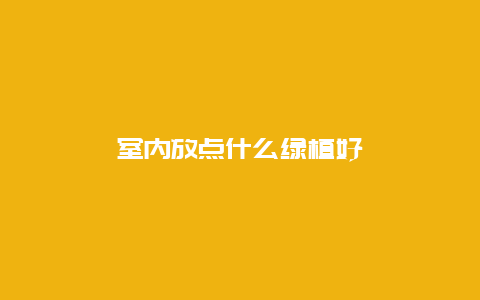 室内放点什么绿植好