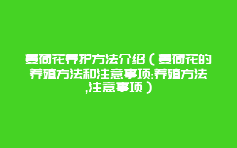 姜荷花养护方法介绍（姜荷花的养殖方法和注意事项:养殖方法,注意事项）