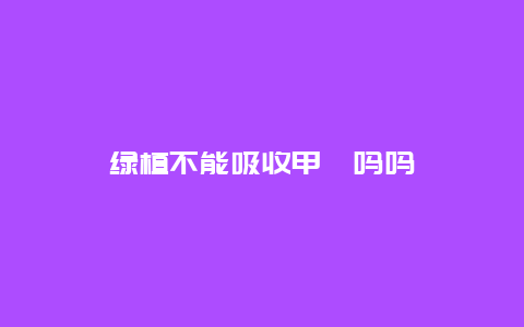 绿植不能吸收甲醛吗吗