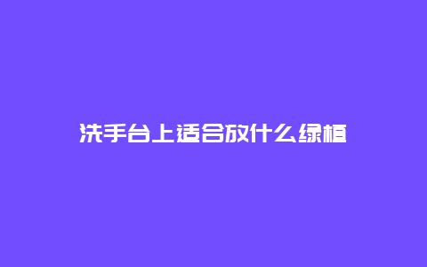 洗手台上适合放什么绿植