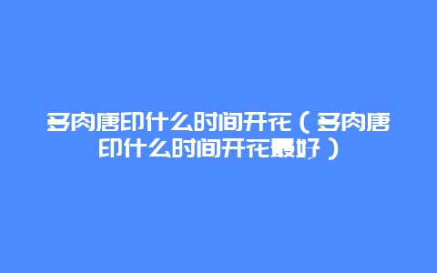 多肉唐印什么时间开花（多肉唐印什么时间开花最好）